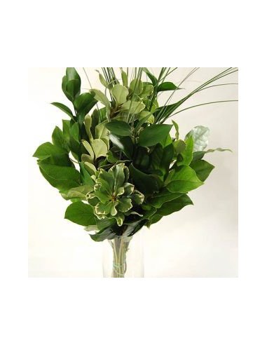 Greenery "drop in" Bouquets LARGE 5 / 10 / 15 / 20 bunches Greenery "drop in" Bouquets LARGE 5 / 10 / 15 / 20 bunches