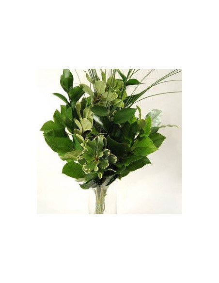 Greenery "drop in" Bouquets LARGE 5 / 10 / 15 / 20 bunches