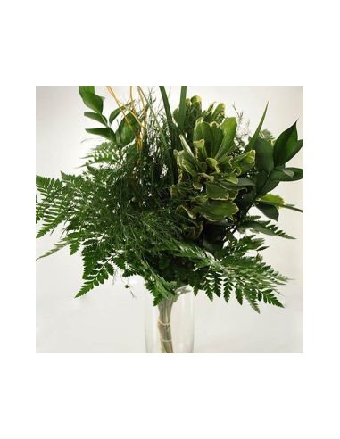Greenery "drop in" Bouquets LARGE 5 / 10 / 15 / 20 bunches Greenery "drop in" Bouquets LARGE 5 / 10 / 15 / 20 bunches