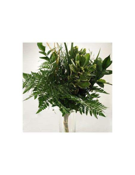 Greenery "drop in" Bouquets LARGE 5 / 10 / 15 / 20 bunches