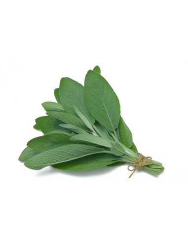 Sage Natural