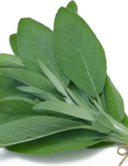 Sage Natural 10 bunches