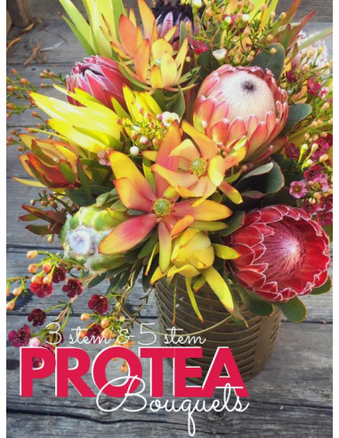Protea Bouquets