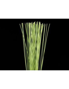 Flexi Grass By the Box 30 bunches