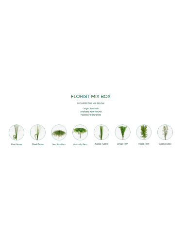 Mixed box of Aussie Greens 10 bunches