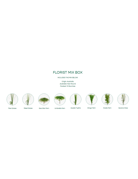 Mixed box of Aussie Greens 10 bunches