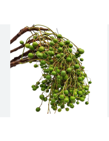 China Berry 50 stems BULK BOX