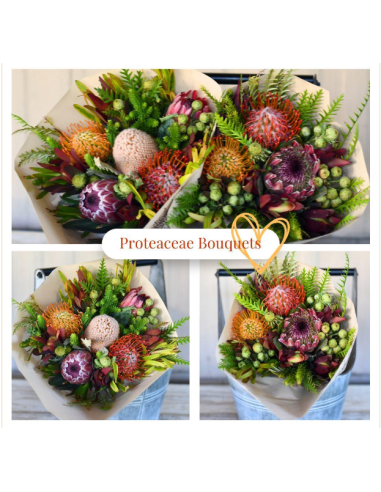 protea bouquets protea bouquets