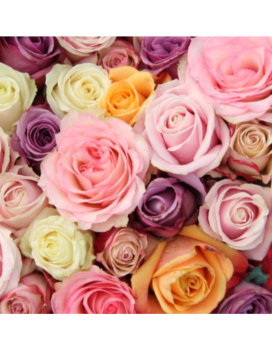 Growers Assortment Roses 250 stems BULK BOX