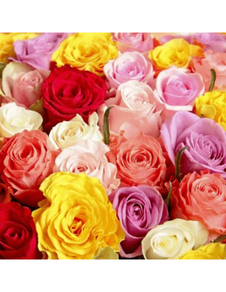 Growers Assortment Roses 250 stems BULK BOX