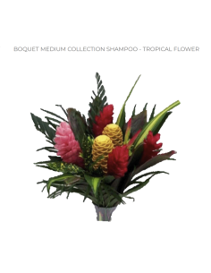 Tropical Bouquet Medium Collection (Shampoo Ginger) | Wholesale 6 Bunches