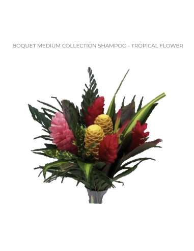 Tropical Bouquet Medium Collection (Shampoo Ginger) | Wholesale 6 Bunches