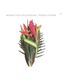 Tropical Bouquet Flat Collection / Ginger and Heliconia magic / 12 bunches