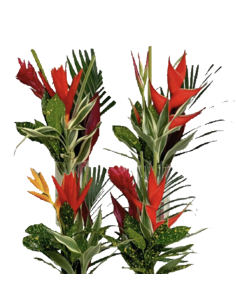 Tropical Bouquet Flat Collection / "Sunny" growers choice 14 bunches