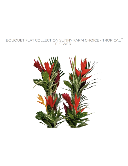Tropical Bouquet Flat Collection / "Sunny" growers choice 14 bunches