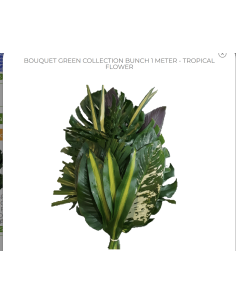 Tropical Bouquet Greenery collection / 3 FEET TALL / 5 bunches