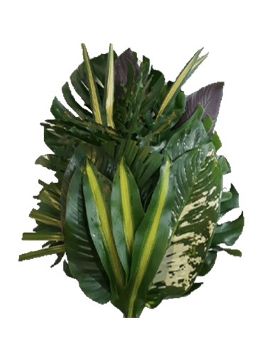 Tropical Bouquet Greenery collection / 3 FEET TALL / 5 bunches