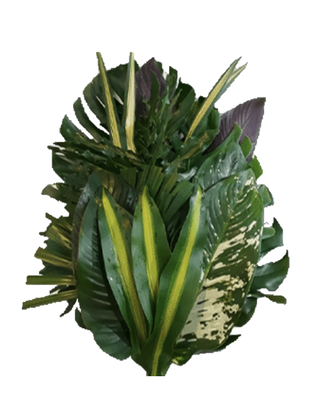 Tropical Bouquet Greenery collection / 3 FEET TALL / 5 bunches