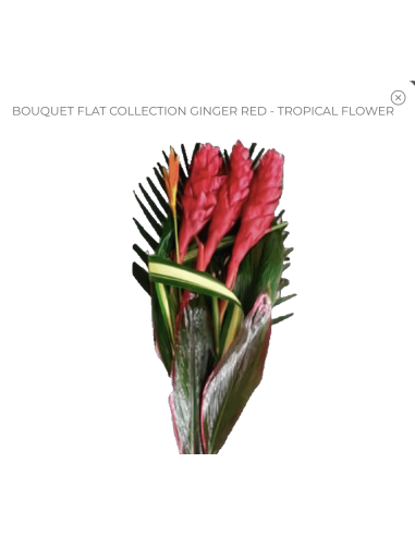 Tropical Bouquet Flat Collection (Red Ginger) | Wholesale 14 Bunches