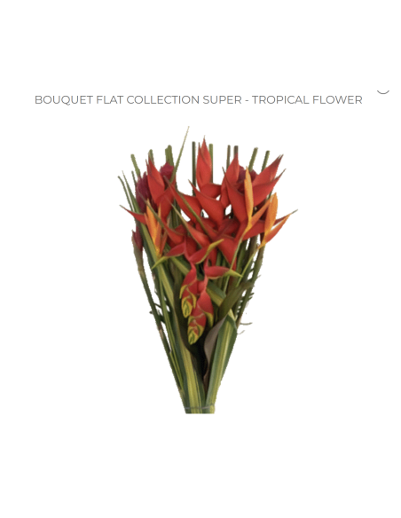 Tropical Bouquet Flat Collection SUPER 5 bunches