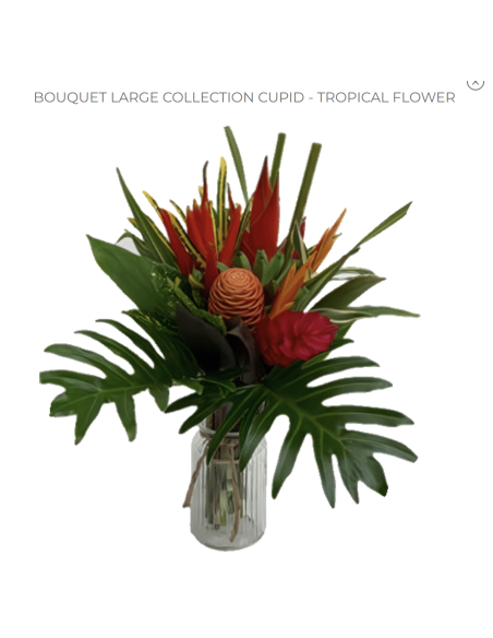 Tropical Bouquet "cupid" LARGE Premium Collection 4 bunches