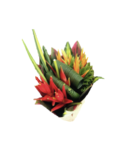 Tropical Bouquet "FOULARD COCCINEA " LARGE Premium Collection 4 bunches 2