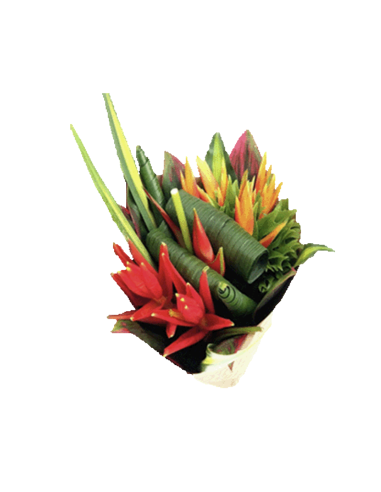 Tropical Bouquet "FOULARD COCCINEA " LARGE Premium Collection 4 bunches Tropical Bouquet "FOULARD COCCINEA " LARGE Premium Collection 4 bunches