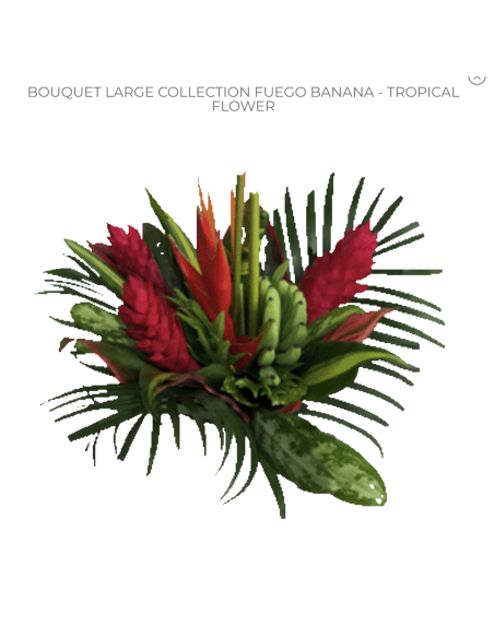 Tropical Bouquet "FUEGO BANANA" LARGE Premium Collection 4 bunches