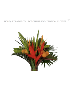 Tropical Bouquet "PARROT " LARGE Premium Collection 4 bunches