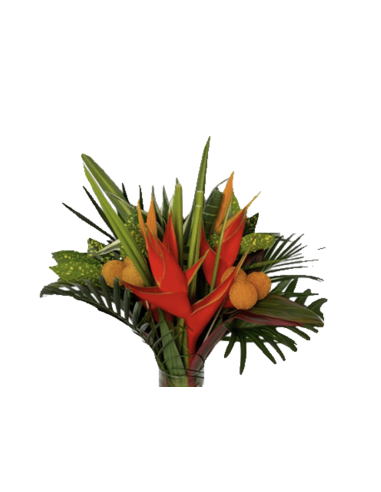 Tropical Bouquet "PARROT " LARGE Premium Collection 4 bunches Tropical Bouquet "PARROT " LARGE Premium Collection 4 bunches