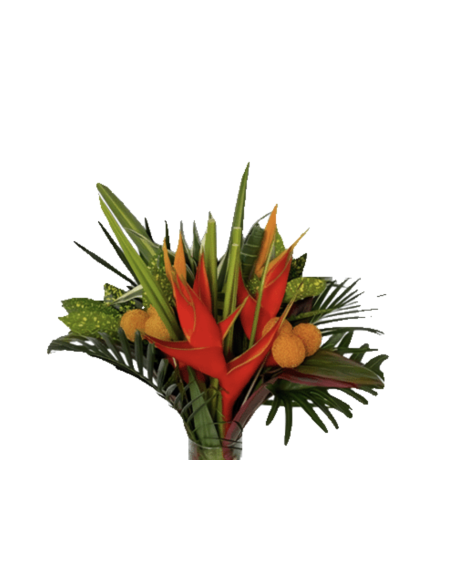 Tropical Bouquet "PARROT " LARGE Premium Collection 4 bunches
