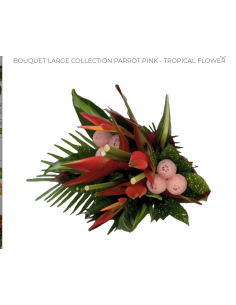 Tropical Bouquet "PINK PARROT " LARGE Premium Collection 4 bunches 2