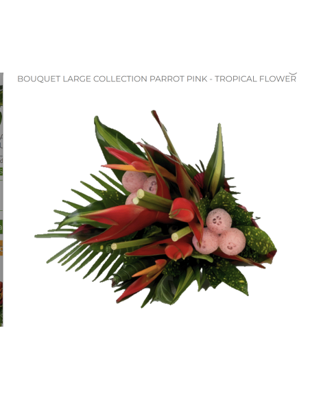 Tropical Bouquet "PINK PARROT " LARGE Premium Collection 4 bunches