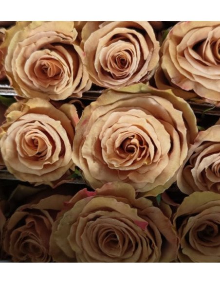 wholesale toffee roses for weddings and events