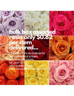 Assorted Roses 300 Stems Growers Assortment BULK BOX