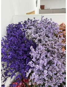 Wholesale Limonium Misty Blue - 25 Bunch Bulk Box | Florasource 2