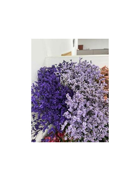 Wholesale Limonium Misty Blue - 25 Bunch Bulk Box | Florasource