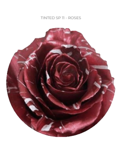 Valentines Day Tinted Roses 50  or 100 Stems