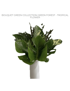 Tropical Bouquet Greenery collection "green forest" 6 bunches