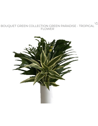 Tropical Bouquet Greenery collection "green paradise" 6 bunches