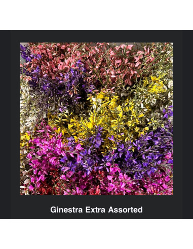 Ginestra Assorted 25 Bunches VDAY Mix