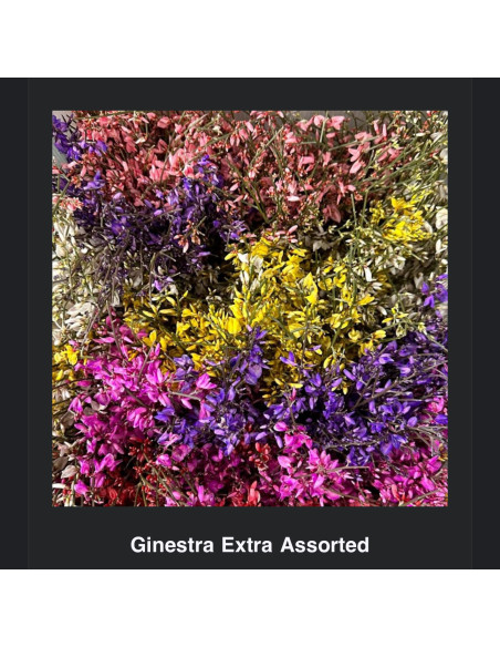 Ginestra Assorted 25 Bunches VDAY Mix