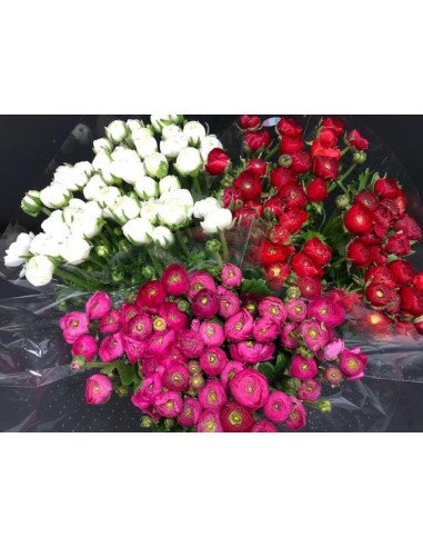 Wholesale Valentine's Day Ranunculus Mix | 60 or 120 Stems Pre-book