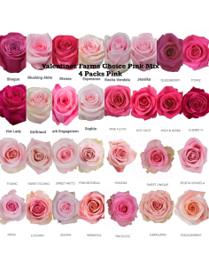Valentines Day Holiday Rose Mix ALL PINKS