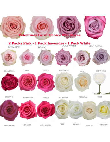 Wholesale Valentine's Day Rose Mix Assortment