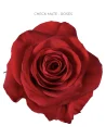 Checkmate red rose 50 / 75 / 100 stems