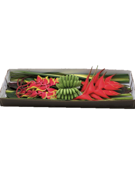 CAPRICHO Tropical Mixed Box 41 stems