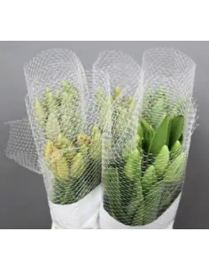 French Tulips Assorted By the Box 2