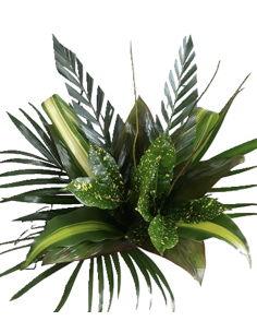 Tropical Bouquet Greenery collection "round foliage" 7 bunches