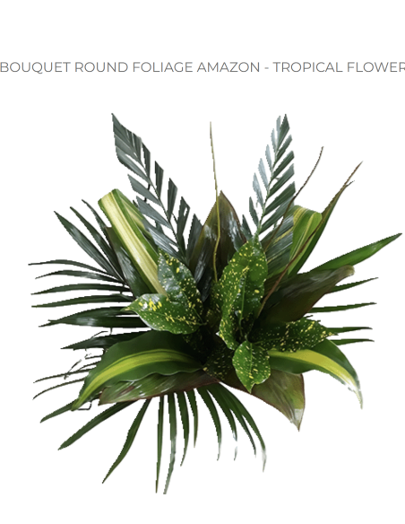Tropical Bouquet Greenery collection "round foliage" 7 bunches